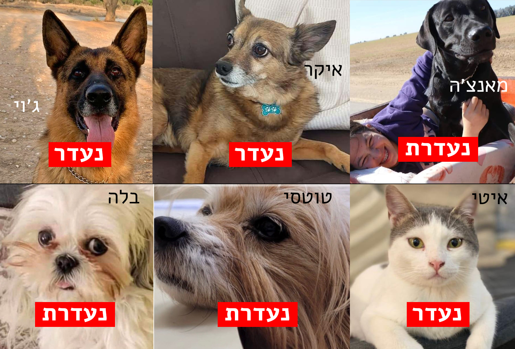 Campaign main image