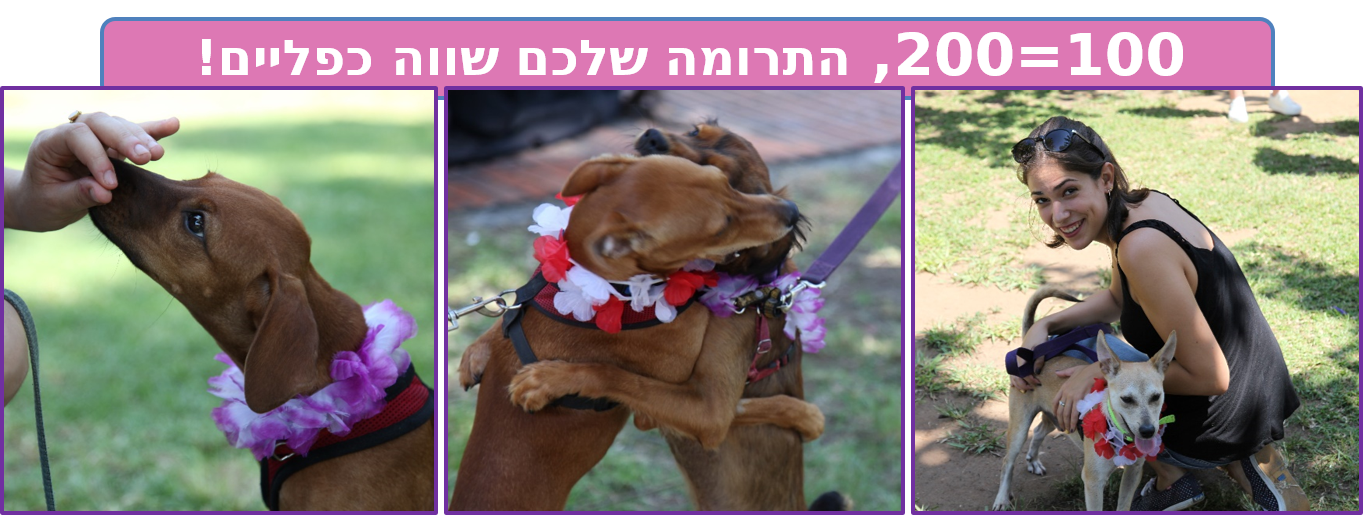 Campaign main image