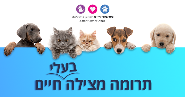Campaign main image